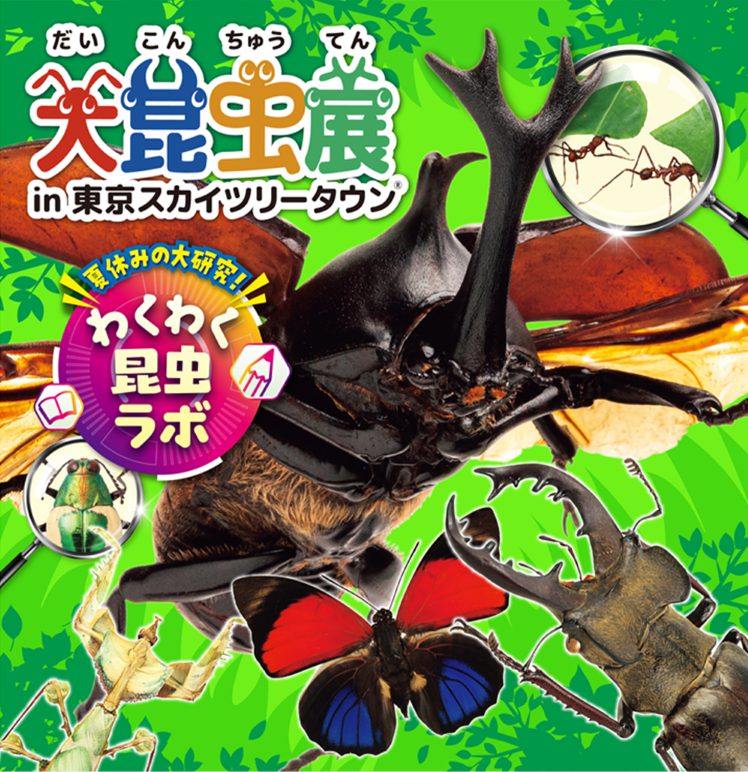 大昆虫展in東京スカイツリータウンⓇ