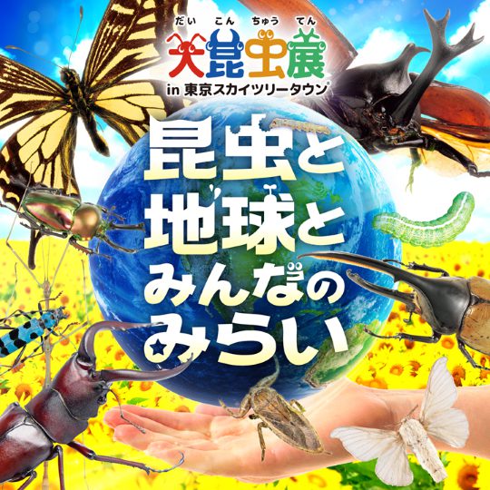 大昆虫展in東京スカイツリータウン (R) ~昆虫と地球とみんなのみらい~