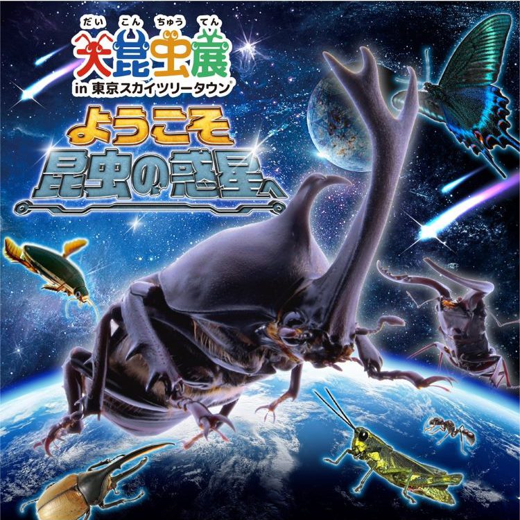 大昆虫展in東京スカイツリータウン (R) ~ようこそ昆虫の惑星へ~